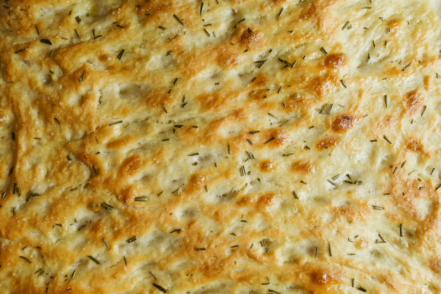 Quick Herb & Onion Focaccia Red Star Nutritional Yeast